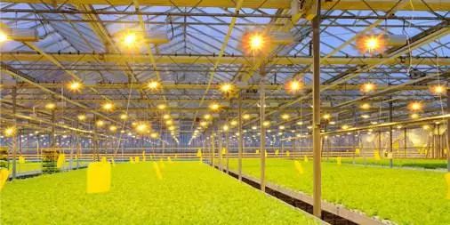 我国农业科技创新专利数量领先，为何技术落地如此艰难